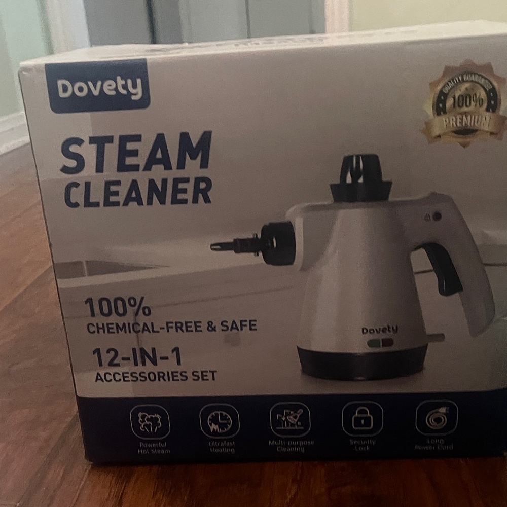 Gray Steam Cleaner
